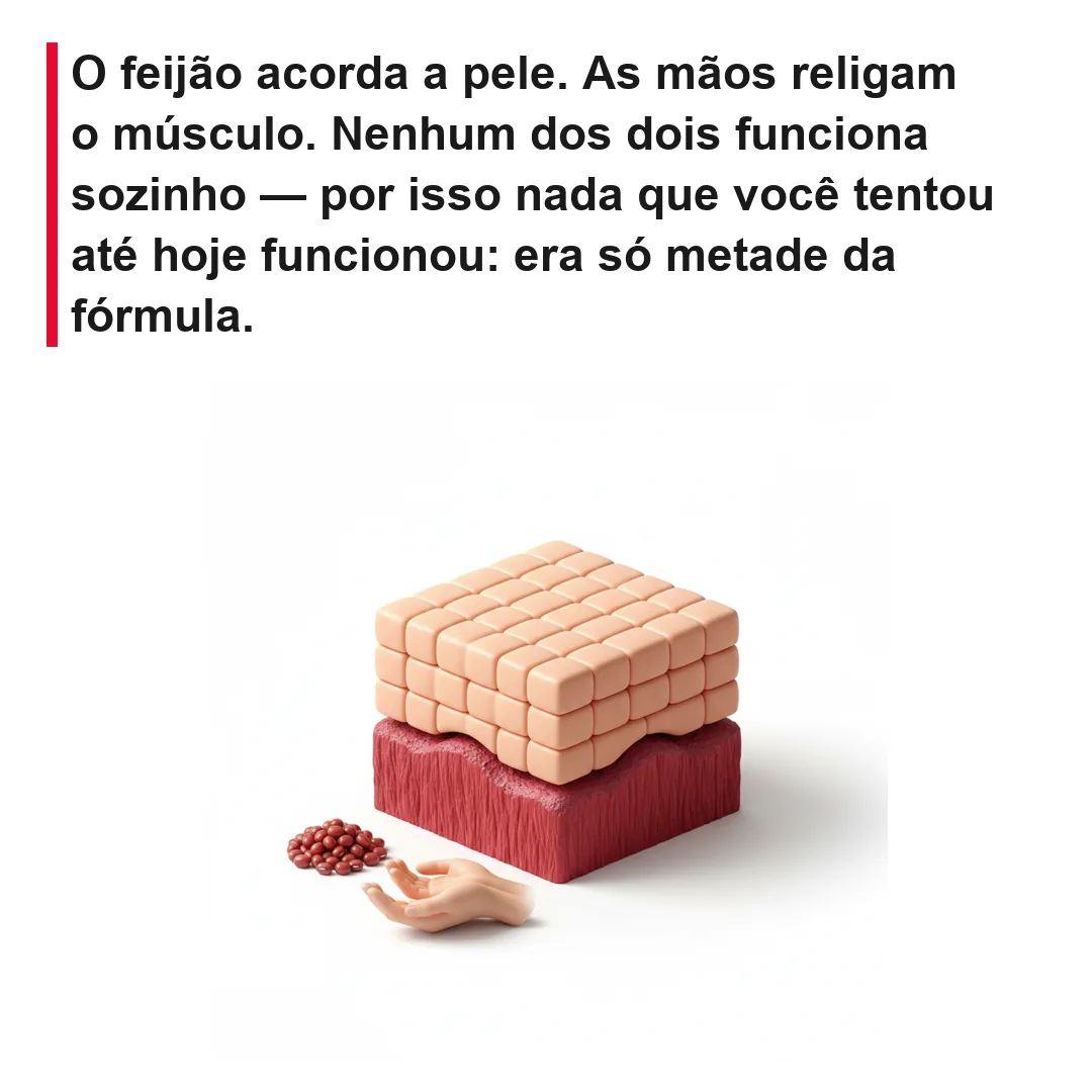 As duas camadas curadas